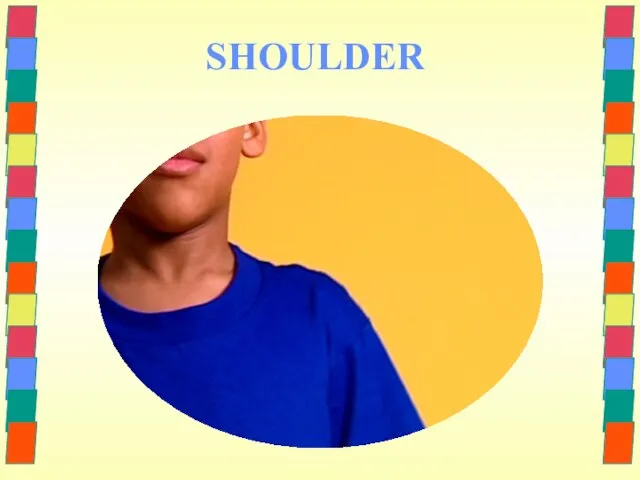 SHOULDER