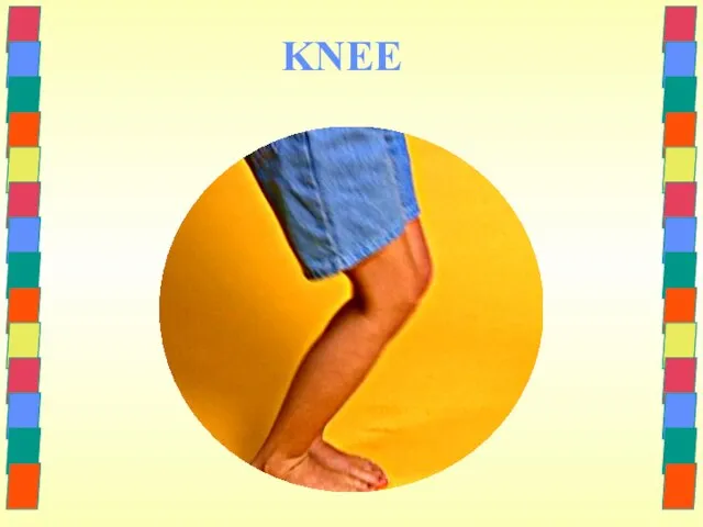 KNEE