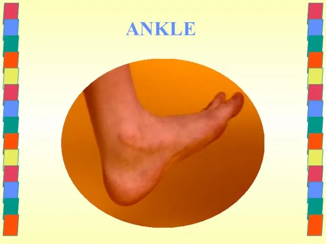 ANKLE