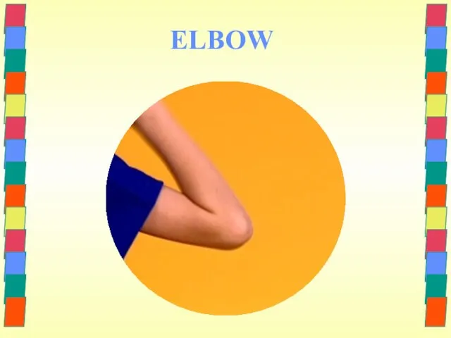 ELBOW