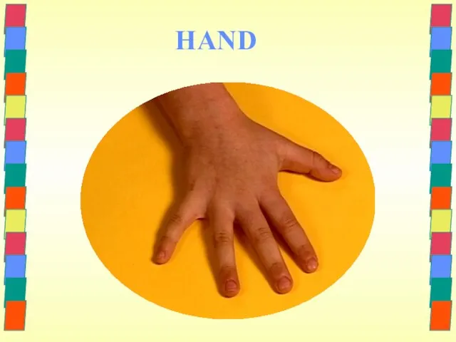 HAND