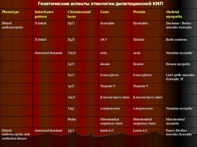 Генетические аспекты этиологии дилатационной КМП