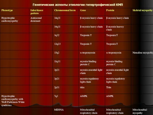 Генетические аспекты этиологии гипертрофической КМП