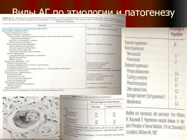 Виды АГ по этиологии и патогенезу