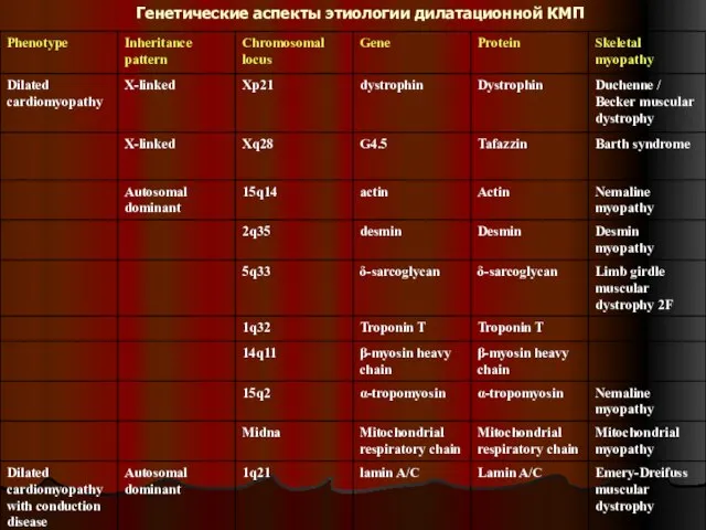 Генетические аспекты этиологии дилатационной КМП