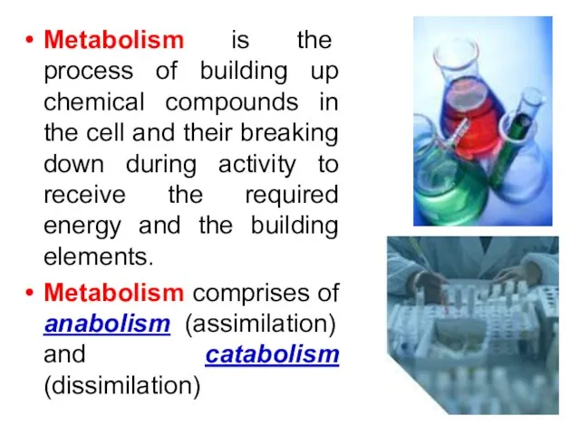 Metabolism is the process of building up chemical compounds in the cell