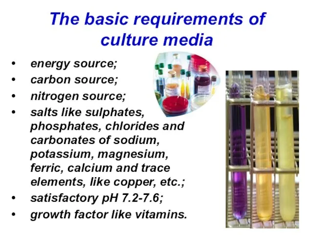 The basic requirements of culture media energy source; carbon source; nitrogen source;