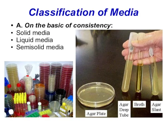 Classification of Media A. On the basic of consistency: Solid media Liquid media Semisolid media