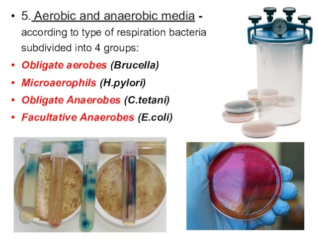 5. Aerobic and anaerobic media - according to type of respiration bacteria