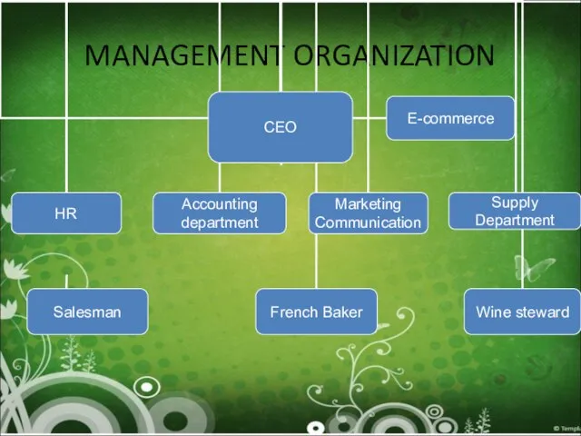 MANAGEMENT ORGANIZATION