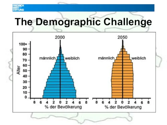 The Demographic Challenge