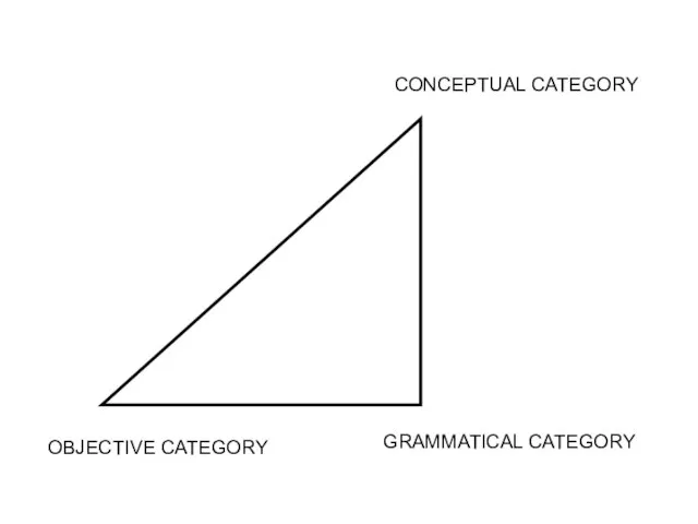 OBJECTIVE CATEGORY GRAMMATICAL CATEGORY CONCEPTUAL CATEGORY