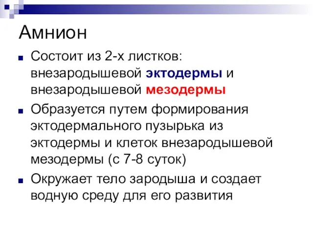 Амнион Состоит из 2-х листков: внезародышевой эктодермы и внезародышевой мезодермы Образуется путем