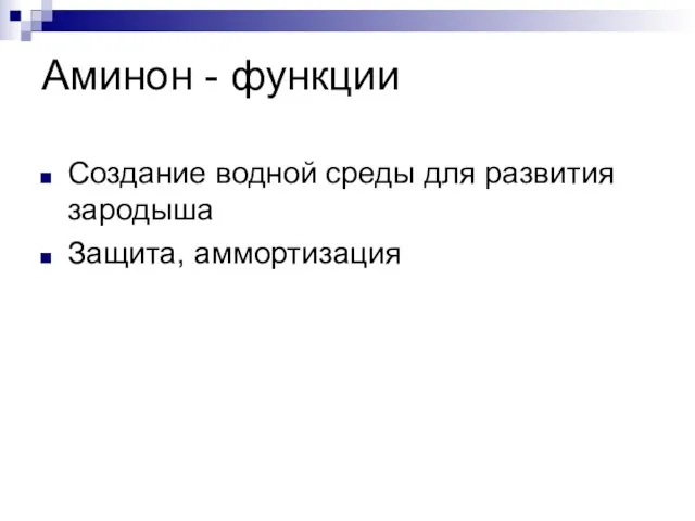 Аминон - функции Создание водной среды для развития зародыша Защита, аммортизация