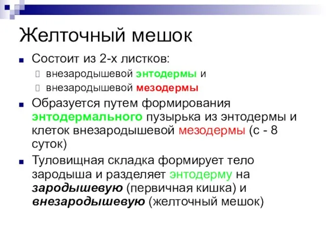 Желточный мешок Состоит из 2-х листков: внезародышевой энтодермы и внезародышевой мезодермы Образуется