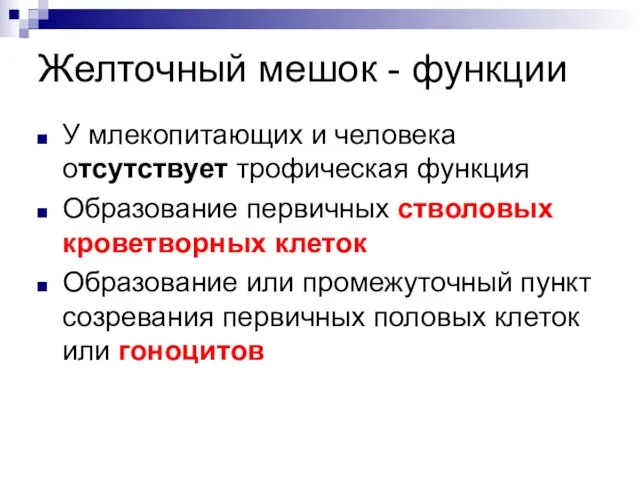 У млекопитающих и человека отсутствует трофическая функция Образование первичных стволовых кроветворных клеток