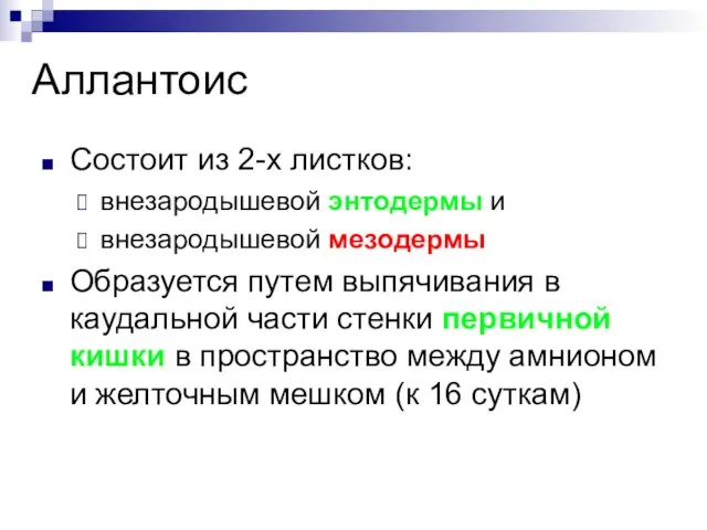 Аллантоис Состоит из 2-х листков: внезародышевой энтодермы и внезародышевой мезодермы Образуется путем