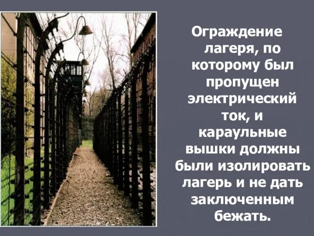 Ограждение лагеря, по которому был пропущен электрический ток, и караульные вышки должны