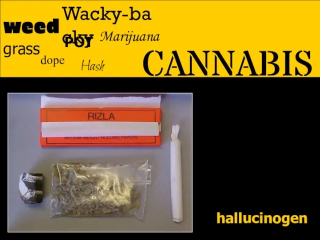 CANNABIS weed dope POT Hash grass Wacky-backy Marijuana hallucinogen