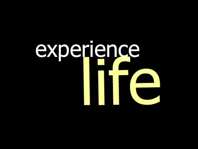 life experience