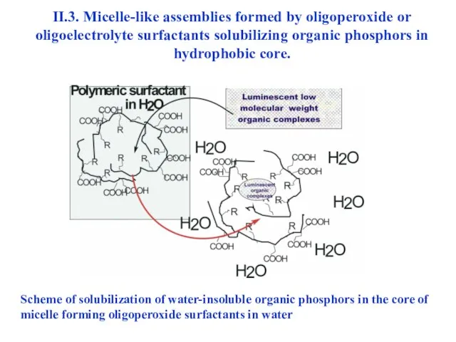 II.3. Micelle-like assemblies formed by oligoperoxide or oligoelectrolyte surfactants solubilizing organic phosphors