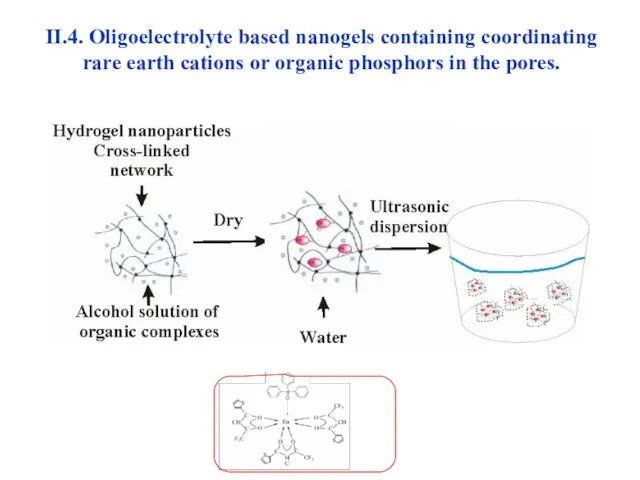 II.4. Oligoelectrolyte based nanogels containing coordinating rare earth cations or organic phosphors in the pores.