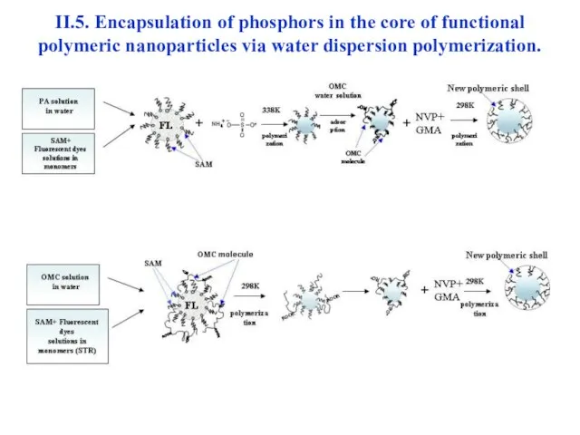 II.5. Encapsulation of phosphors in the core of functional polymeric nanoparticles via water dispersion polymerization.