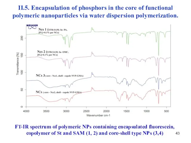 II.5. Encapsulation of phosphors in the core of functional polymeric nanoparticles via