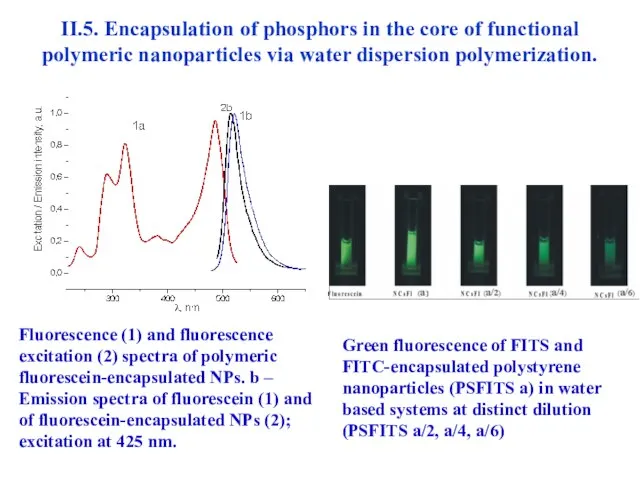 II.5. Encapsulation of phosphors in the core of functional polymeric nanoparticles via