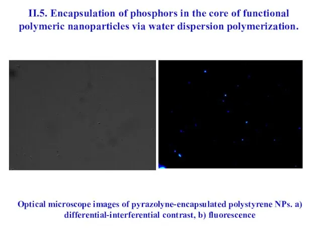 II.5. Encapsulation of phosphors in the core of functional polymeric nanoparticles via