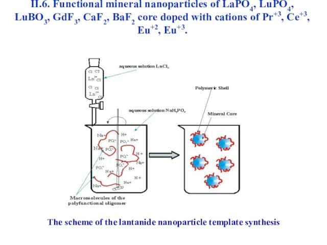 II.6. Functional mineral nanoparticles of LaPO4, LuPO4, LuBO3, GdF3, CaF2, BaF2 core