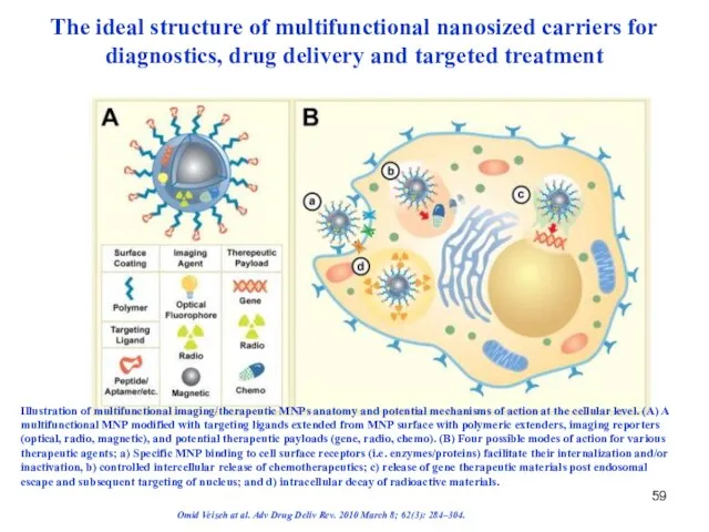 The ideal structure of multifunctional nanosized carriers for diagnostics, drug delivery and