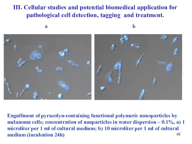 Engulfment of pyrazolyn-containing functional polymeric nanoparticles by melanoma cells; concentration of nanparticles