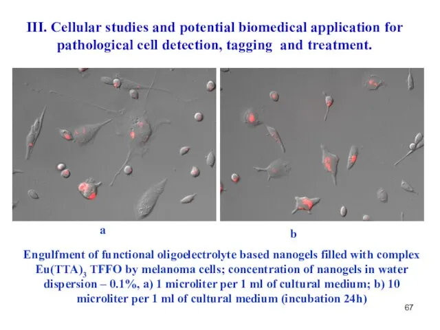 a b III. Cellular studies and potential biomedical application for pathological cell