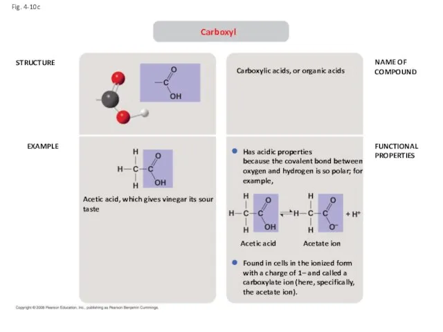 Fig. 4-10c STRUCTURE EXAMPLE NAME OF COMPOUND FUNCTIONAL PROPERTIES Carboxyl Acetic acid,