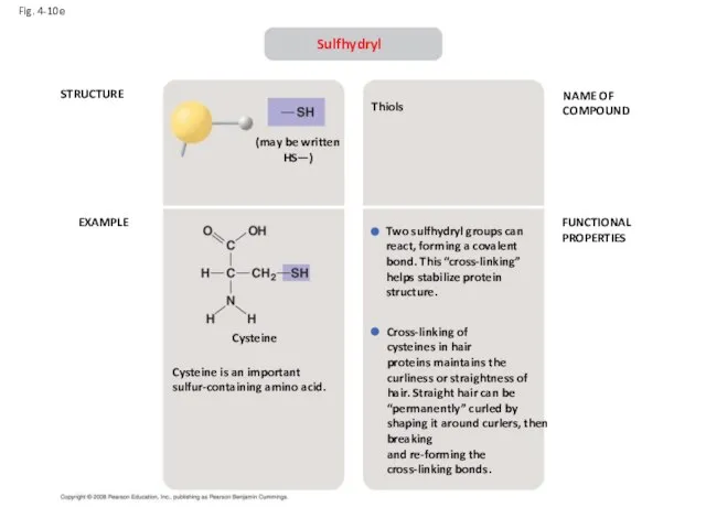 Fig. 4-10e STRUCTURE EXAMPLE NAME OF COMPOUND FUNCTIONAL PROPERTIES Sulfhydryl (may be