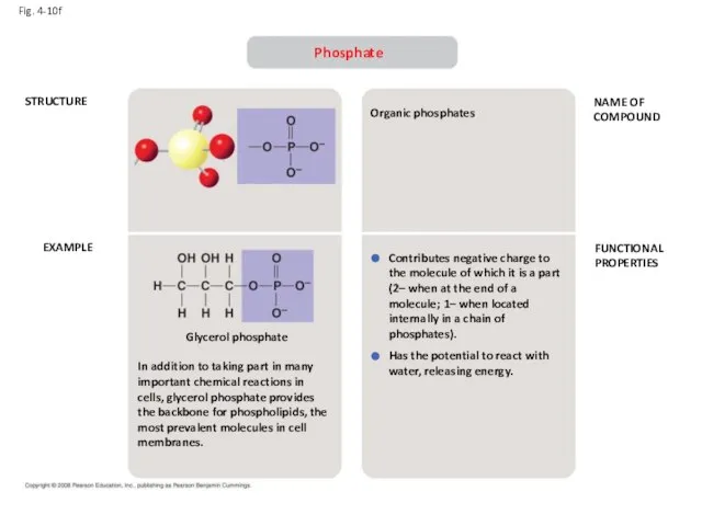 Fig. 4-10f STRUCTURE EXAMPLE NAME OF COMPOUND FUNCTIONAL PROPERTIES Phosphate In addition