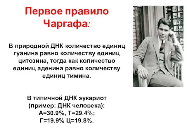 Первое правило Чаргафа: В природной ДНК количество единиц гуанина равно количеству единиц