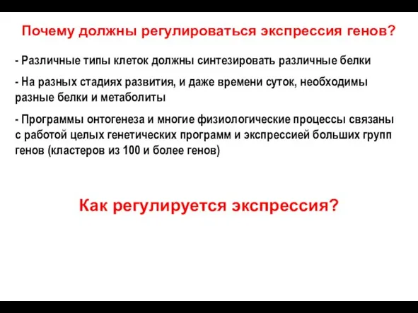 Почему должны регулироваться экспрессия генов? Как регулируется экспрессия? - Различные типы клеток