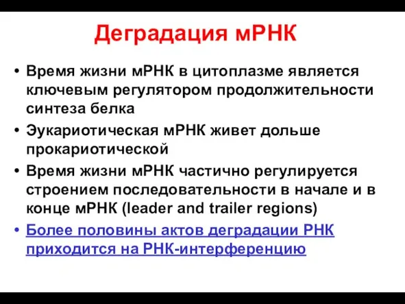 Деградация мРНК Время жизни мРНК в цитоплазме является ключевым регулятором продолжительности синтеза