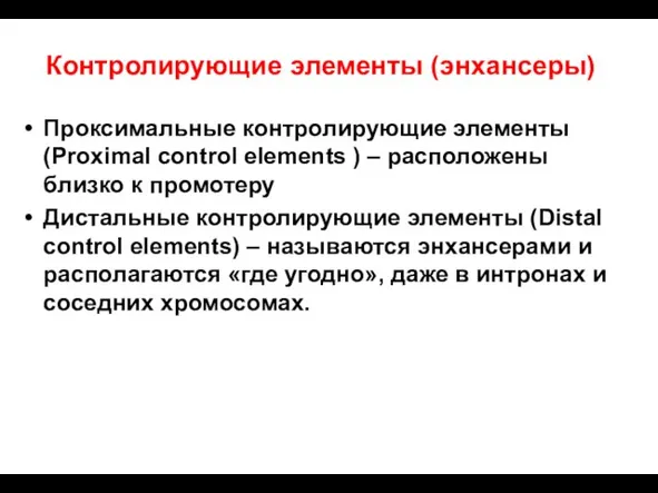 Проксимальные контролирующие элементы (Proximal control elements ) – расположены близко к промотеру