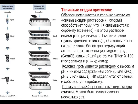 Типичные стадии протокола: Образец помещается в колонку вместе со «связывающим раствором», который