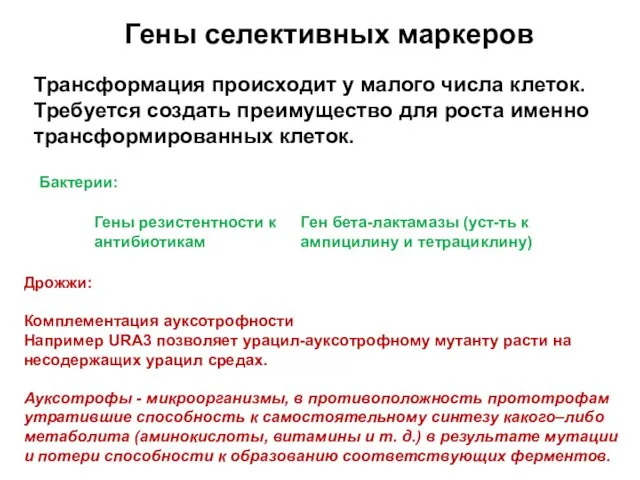 Гены селективных маркеров Бактерии: Дрожжи: Комплементация ауксотрофности Например URA3 позволяет урацил-ауксотрофному мутанту