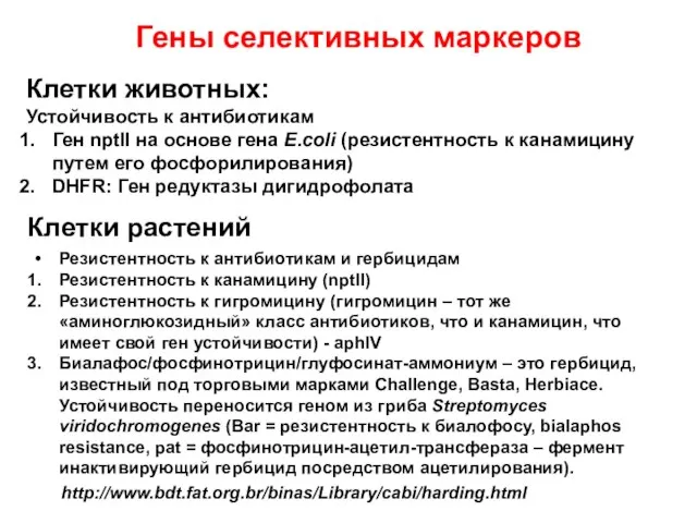 Клетки животных: Устойчивость к антибиотикам Ген nptII на основе гена E.coli (резистентность