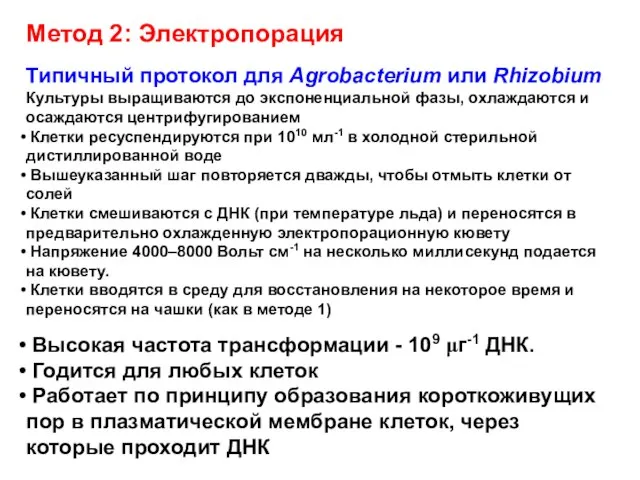 Метод 2: Электропорация Типичный протокол для Agrobacterium или Rhizobium Культуры выращиваются до