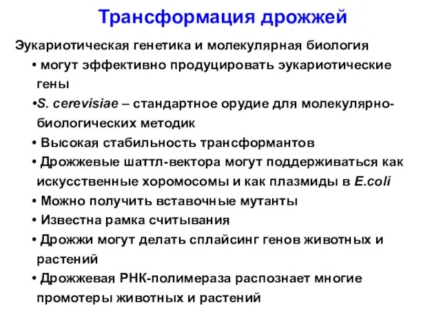 Эукариотическая генетика и молекулярная биология могут эффективно продуцировать эукариотические гены S. cerevisiae