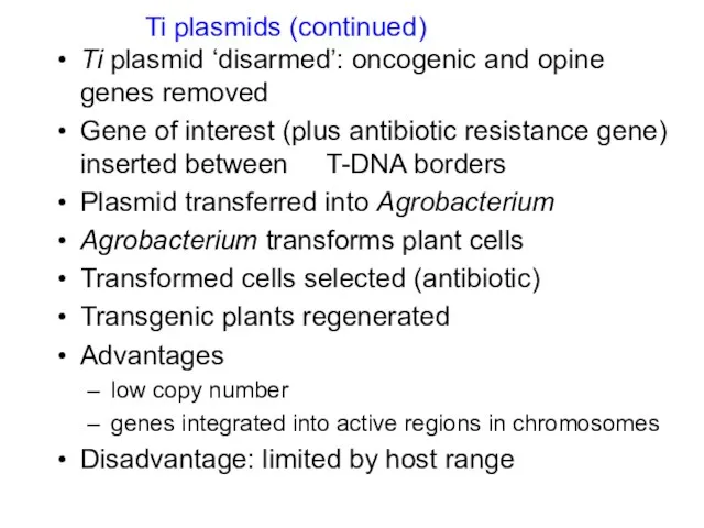 Ti plasmid ‘disarmed’: oncogenic and opine genes removed Gene of interest (plus