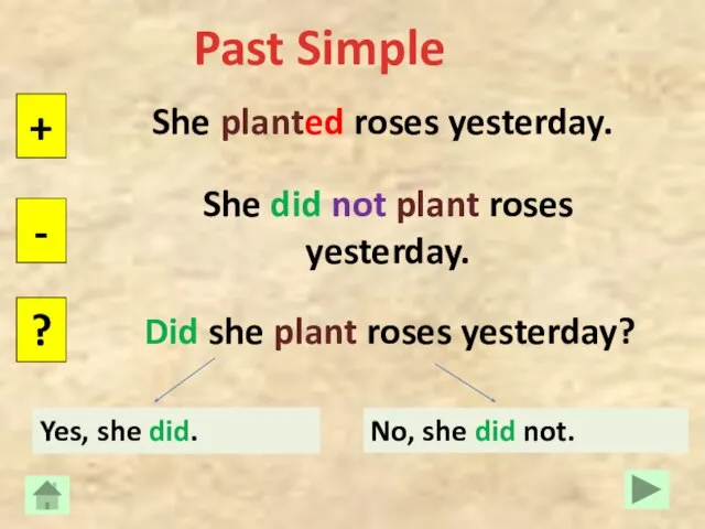 Past Simple She planted roses yesterday. + - ? She did not