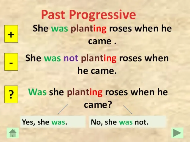 Past Progressive She was planting roses when he came . + -