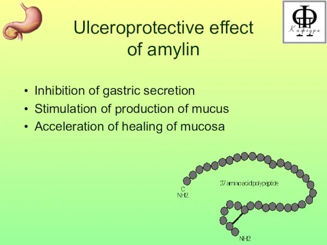 Ulceroprotective effect of amylin Inhibition of gastric secretion Stimulation of production of